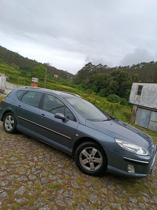 Peugeot 407   sw