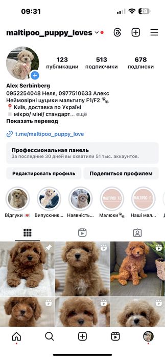 Мальтипу ф1 міні чудо хлопчик