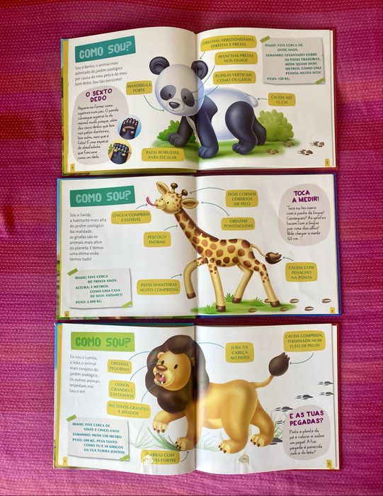 Lote Livros infantis - coleção Animais do Zoo - O Panda - A Girafa - O Leão