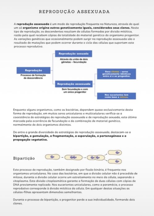 Resumos biologia 11º