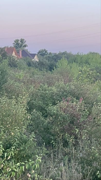 Розчистка ділянки під ключ,Розліснення,Зрізання висотних дерев