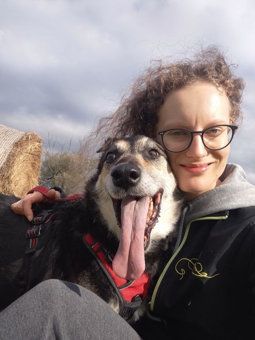 Bosman od 3 lat czeka na dom w schronisku