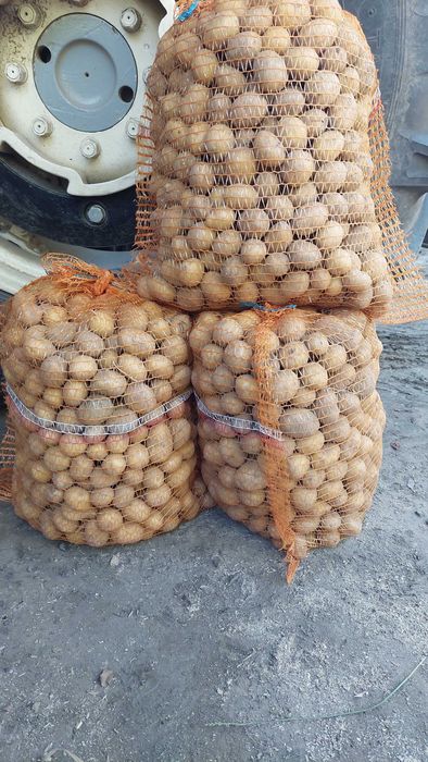 Ziemniaki paszowe 0,20gr za kilogram