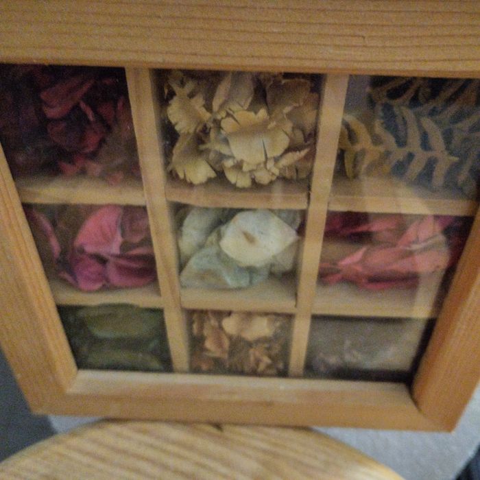 2 frames with dried leaves (price for both)64550977208451122