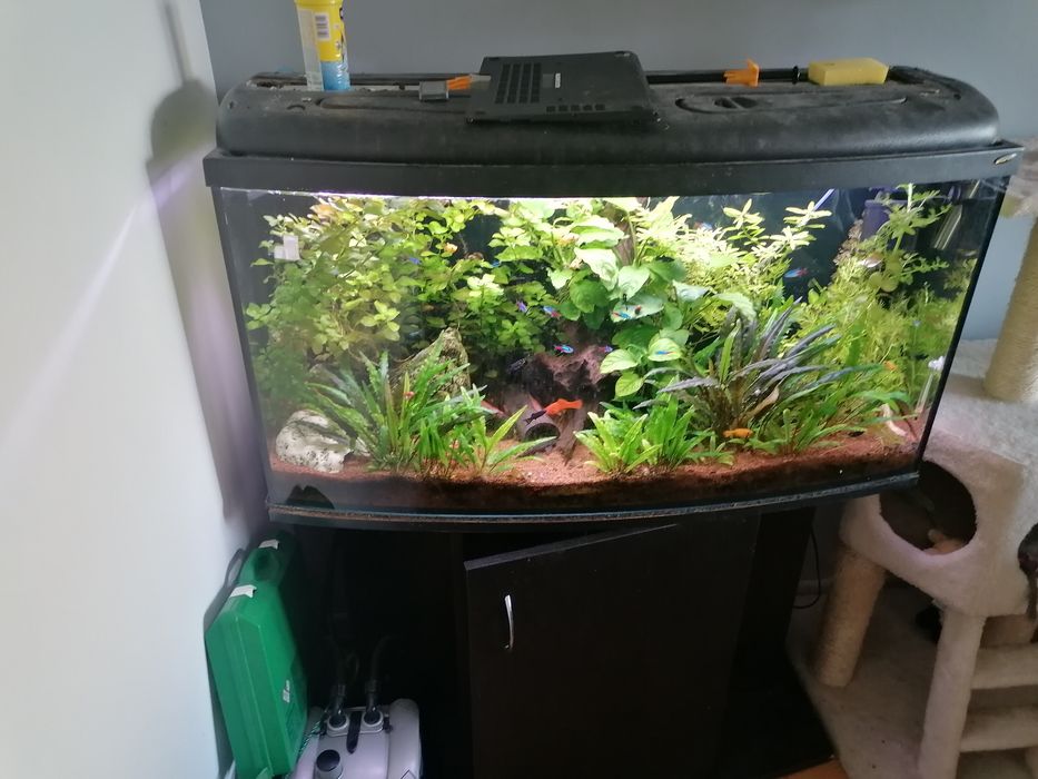 Akwarium 180l kompletne