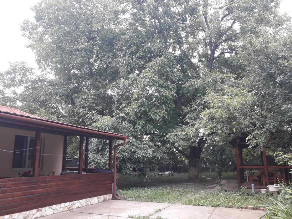 Будинок в Закарпатті продам/здам посуточно або на довготривалий строк.