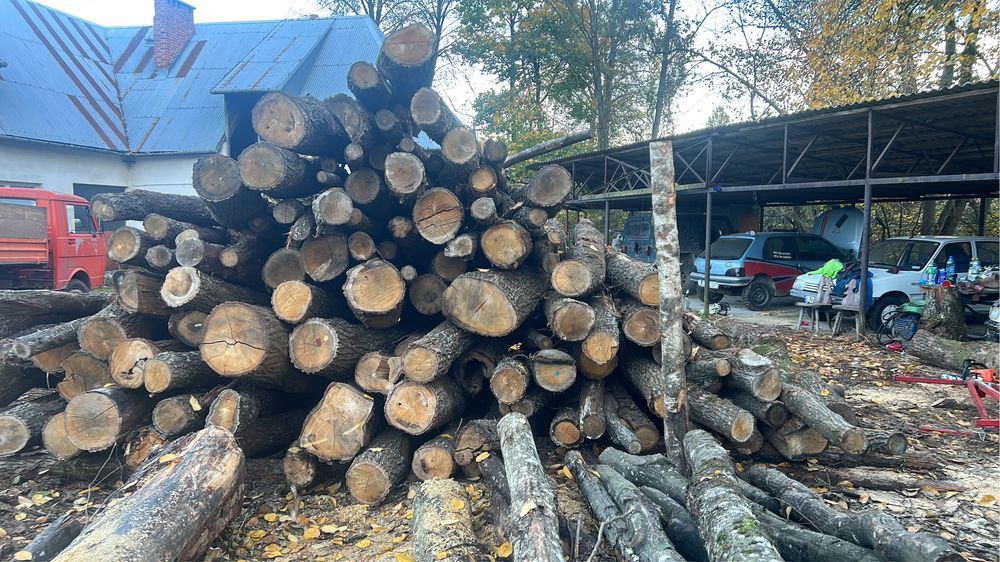 Suche drewno opałowe/kominkowe z transportem
