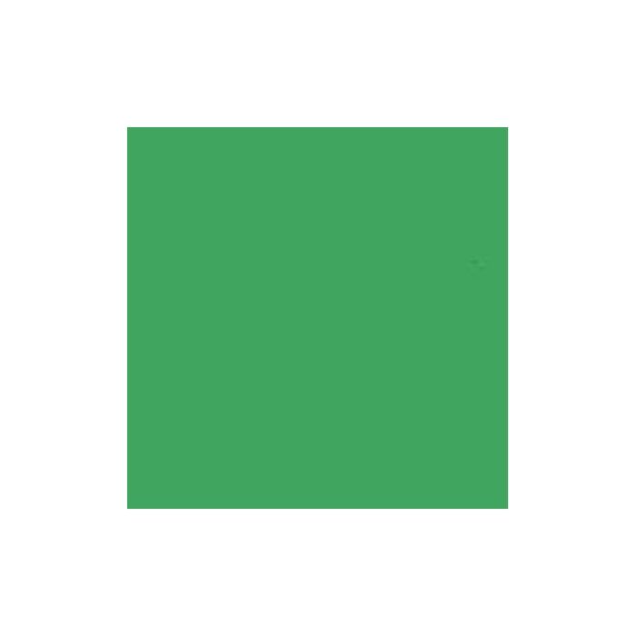 Fundo papel LINKSTAR 2,72X11M VERDE CHROMA 46