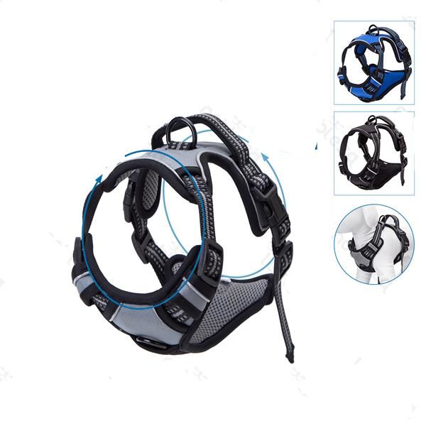 Peitoral para Cão Confort Plus (treino)