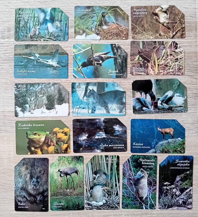 Karty telefoniczne magnetyczne