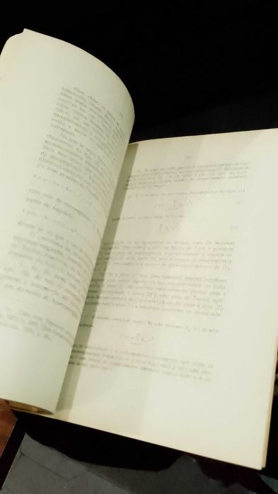 Teoria do Prolongamento Analítico das séries de Dirichlet - Sixto Rios
