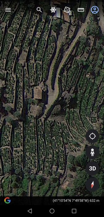 Vinha produtiva com oliveiras, árvores de fruto e mina de água