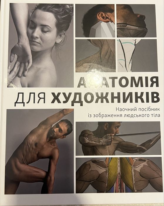 Анатомія для художників