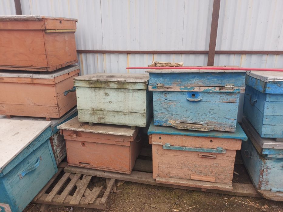 Продав залишки від пасіки, вулики, рамки