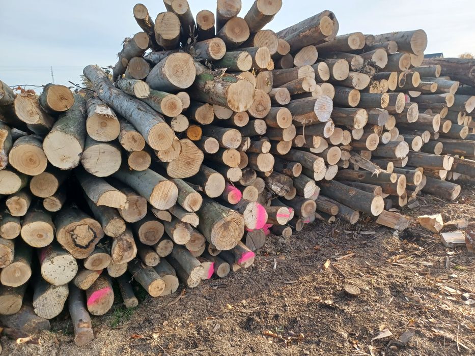 Sprzedaży drewna opałowego-kominkowego transport