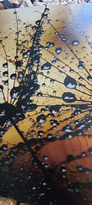 Panel nadblatowy nad kuchenkę ochrona ściany pcv