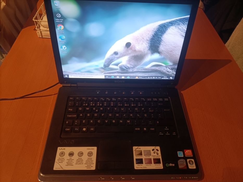 Sony vaio bateria viciada