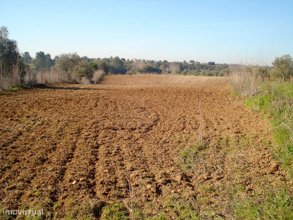 Terreno Rústico com 8680 m2 — Achete, Azoia De Baixo E Póvoa De Santarém, Santarém