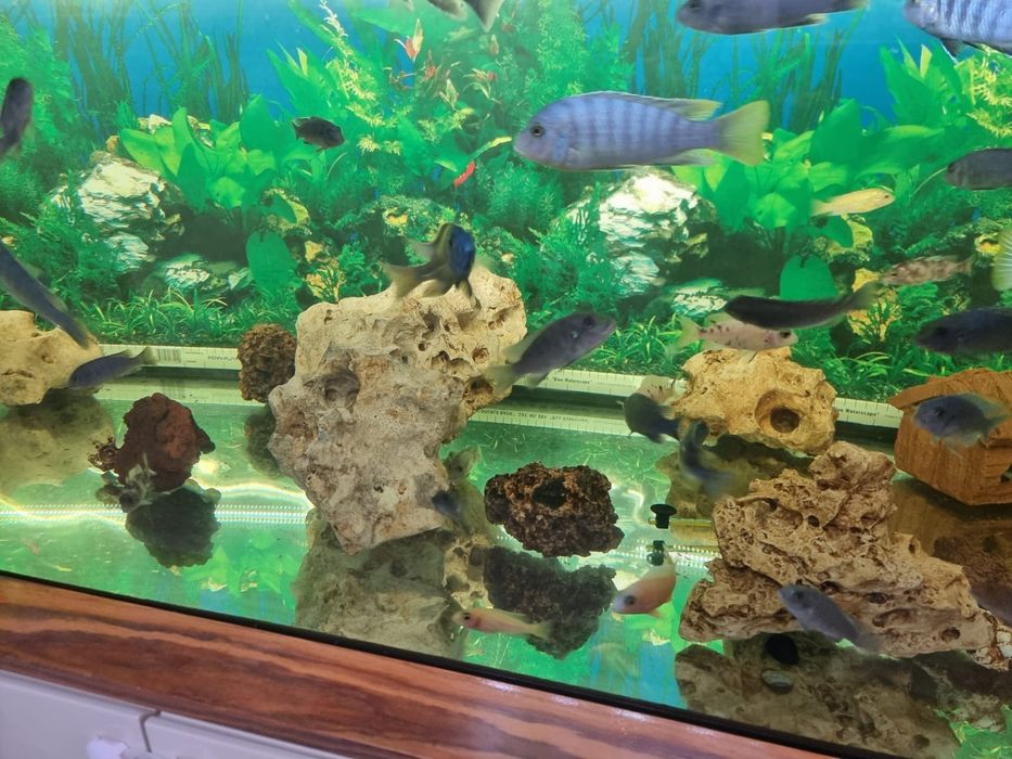 Aquário de 3 metros