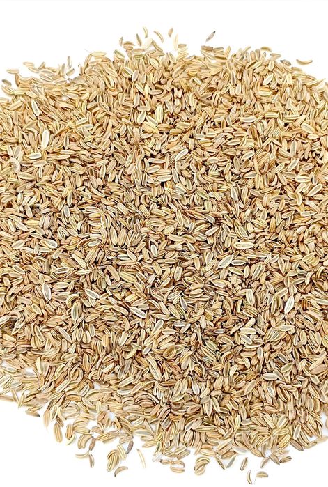 Koper włoski, fenkuł nasiona