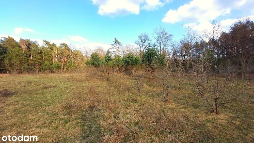 Działka o powierzchni 4060m2 z warunkami zabudowy. w otulinie lasu