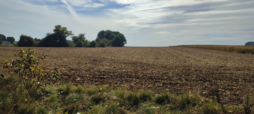 Działki budowlane Piotrków Borowski