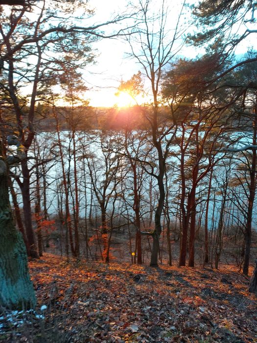 Działka nad jeziorem (jezioro, las, góry)