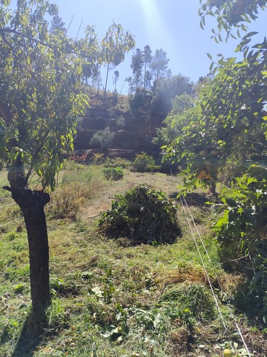 Terreno Pequeno Silvares