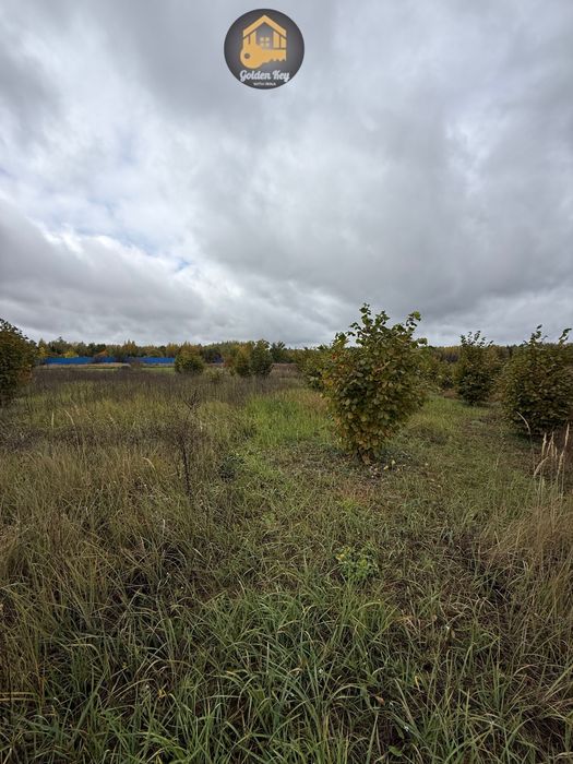 Продам 1.4га під садівництво, засаджено горіхами, бізнес, 40кмКиїв