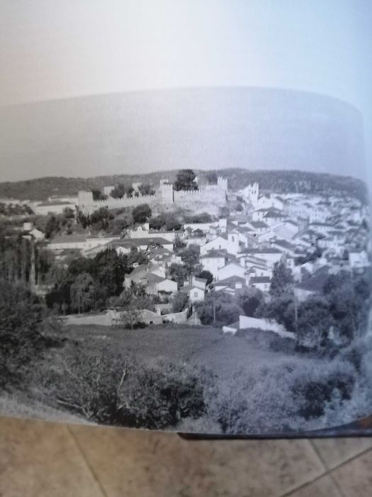 pinceladas torrejanas , joaquim rodrigues bicho , 2000