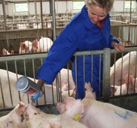 Продам Альтрезин для синхронізації охоти у свиней