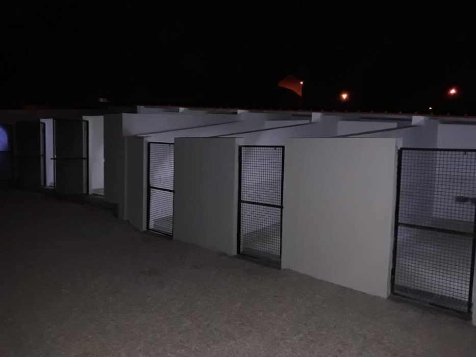 Hotel e Alojamento Canino