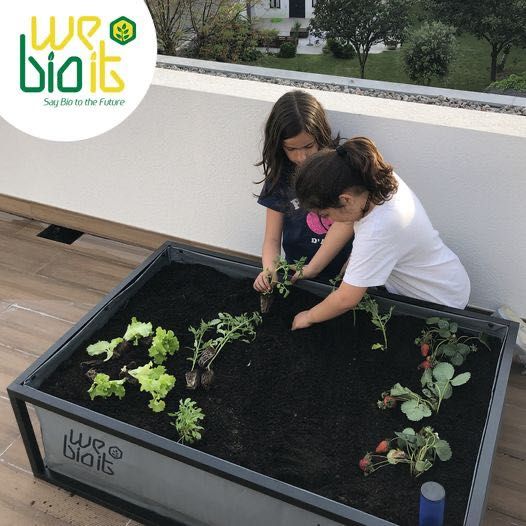 Horta Autónoma de fácil manutenção (várias cores e tamanhos)