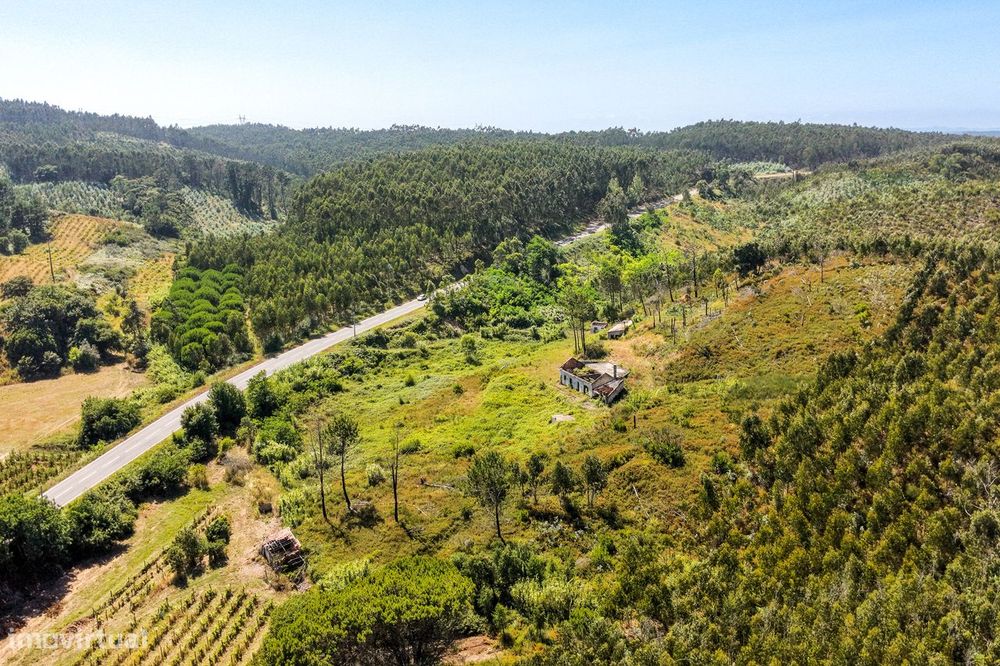 Propriedade rural com construções tradicionais para reabilitar | Cadav