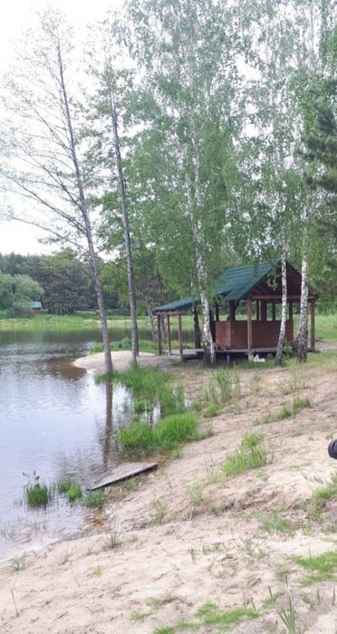 Продам ділянку  с.Кодра,33 сотки,поруч ліс та річка,65 км від Києва
