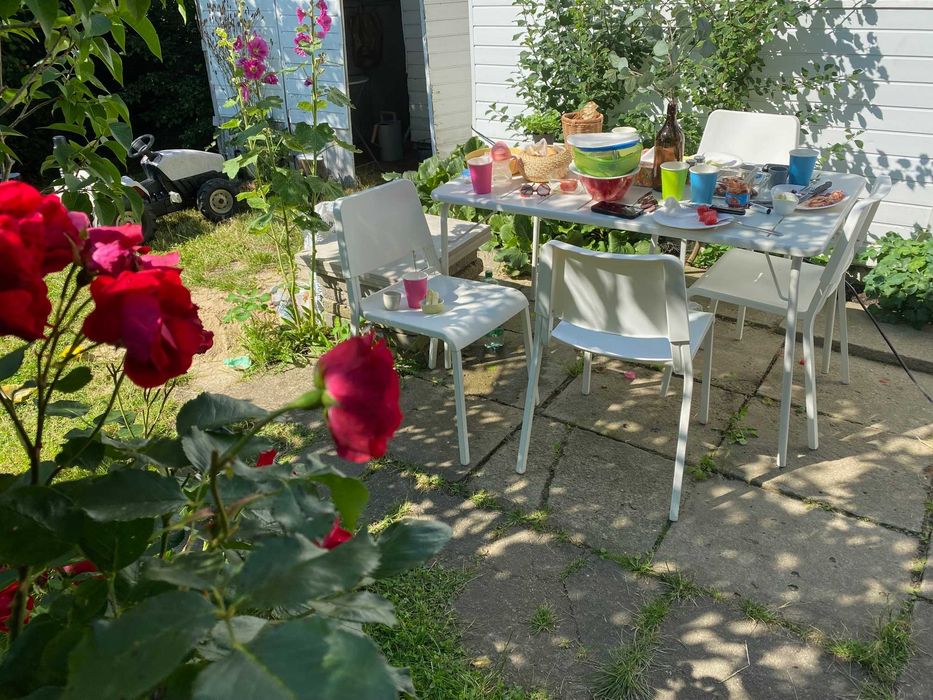 Atrakcyjna i urokliwa działka ROD w Gdańsku - Widok 2