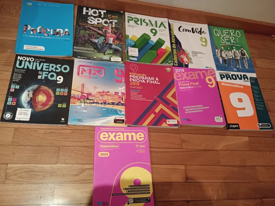 9th Grade School Textbooks and Activity Books
