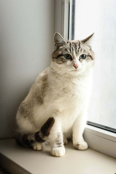 Красуня шукає родину