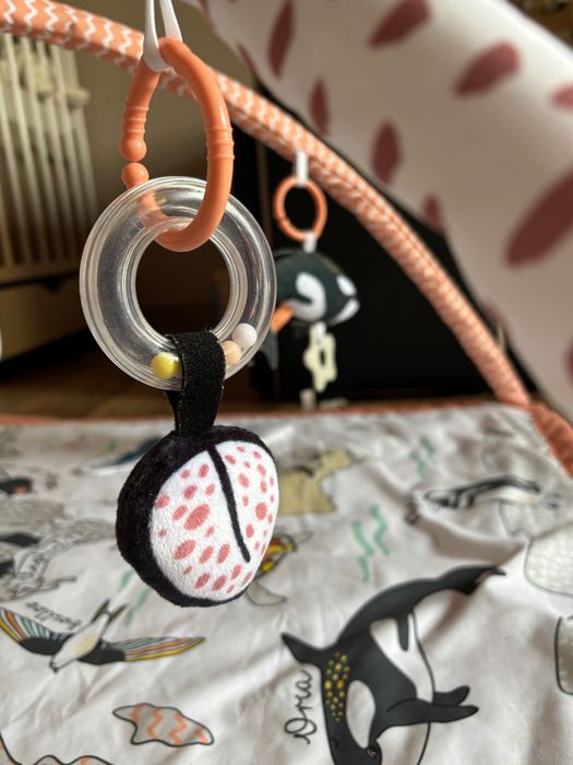 Mata edukacyjna/ Namiot tipi