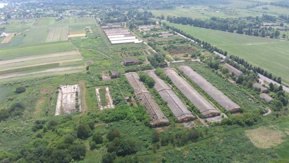 Комплекс для відгодівлі ВРХ. 25905.5 м2