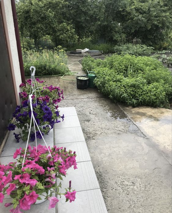 Продаж Двух Будинків на 8 сот 36 кв.м та 45 кв.м Генератор Центр міста