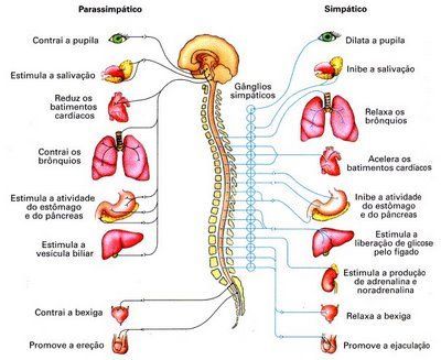 Aparelho de Magnetoterapia