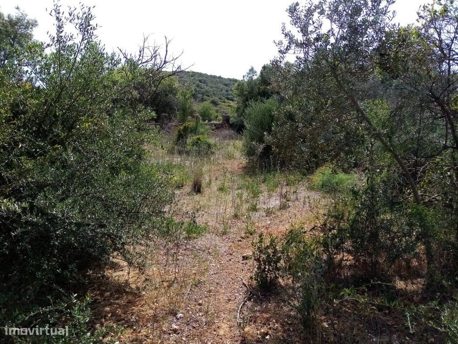Terreno Rustico com 11 136m2, Loulé, Algarve
