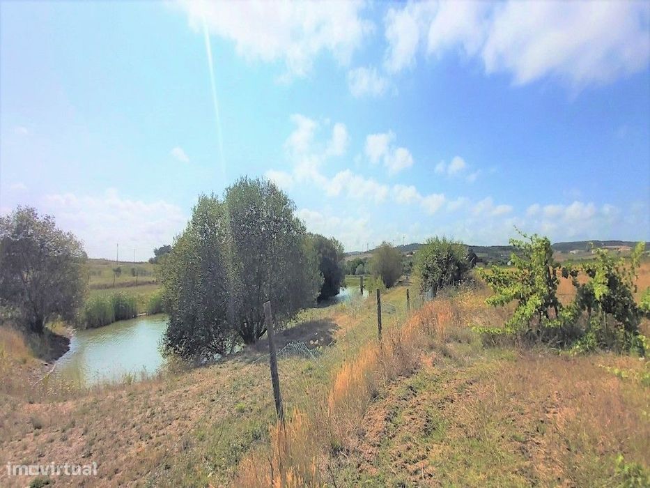 Mixed Land in Casal dos Pinheirinhos - Moita de Ferreiros.