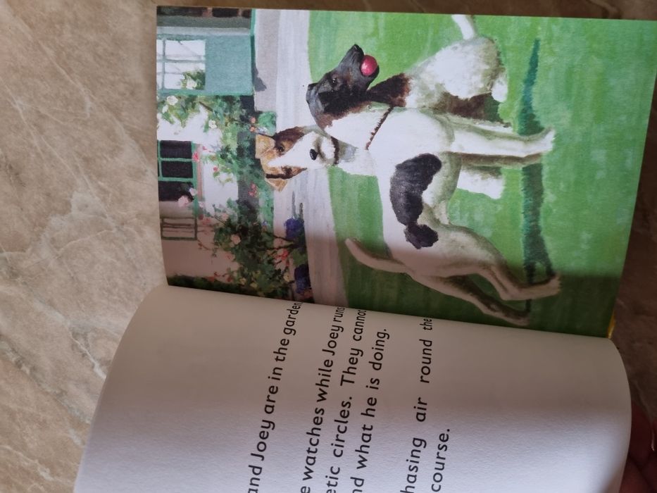The Dog książka w języku angielskim o psach