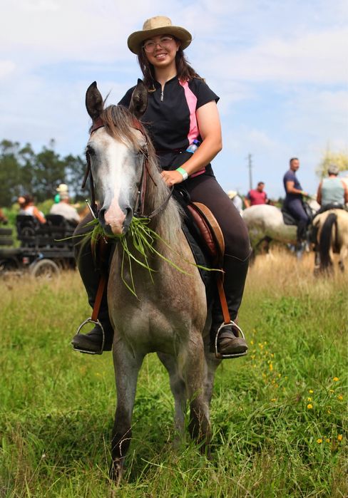 Desbasto de poldro poldras egua cavalos