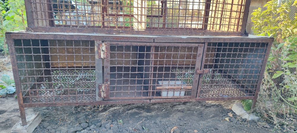 Клетки для нутрий