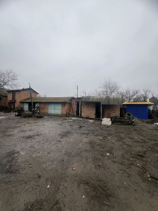 Продам будинок в Нових Санжарах. ЄОселя