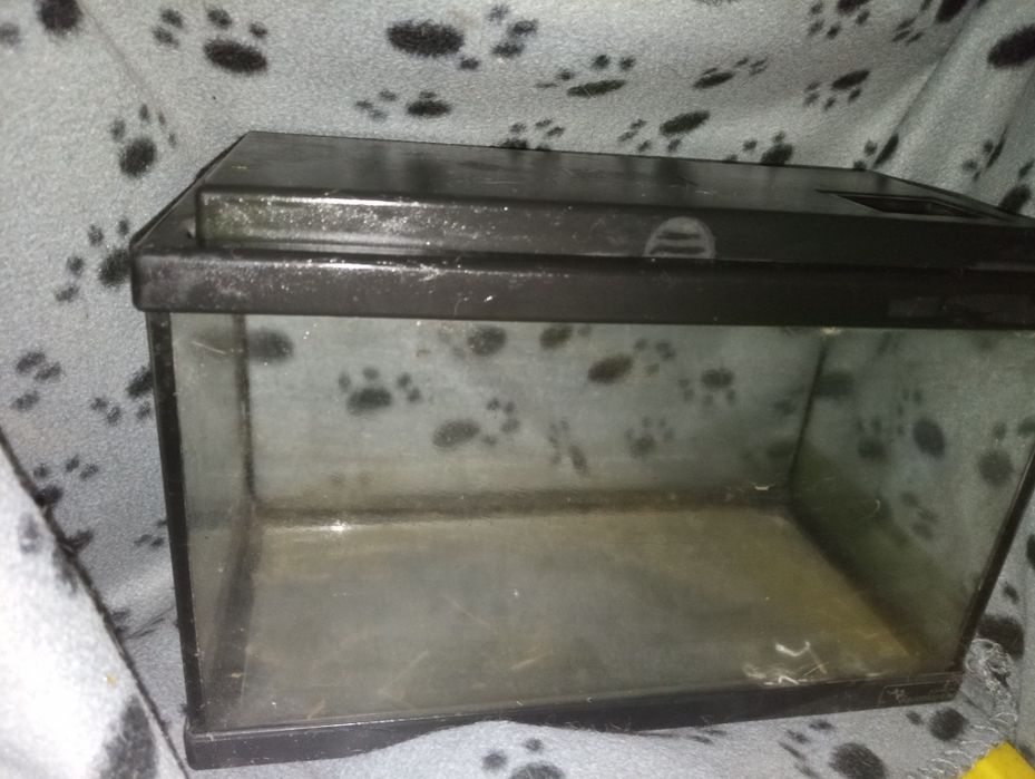 Mini aquario 7lt