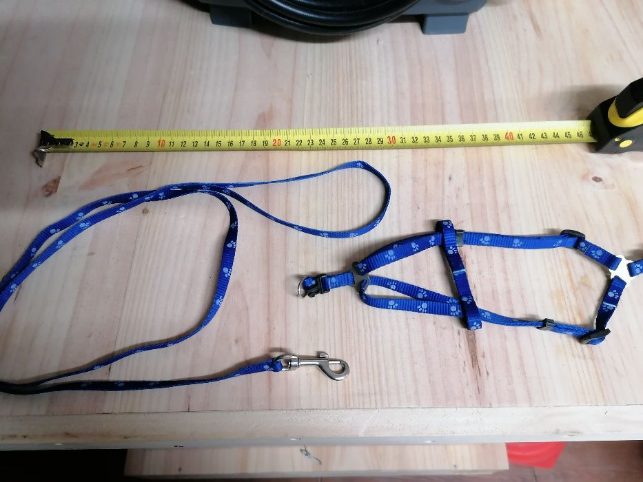 Peitoral para cão pequeno - Pincher